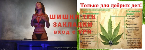 прущие крисы Ельня