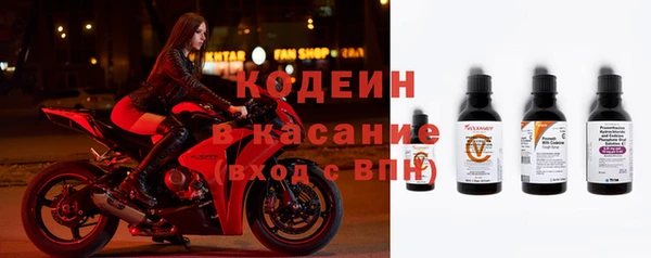 прущие крисы Ельня