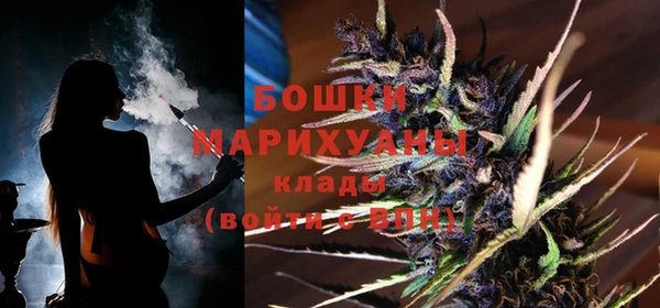 прущие крисы Ельня