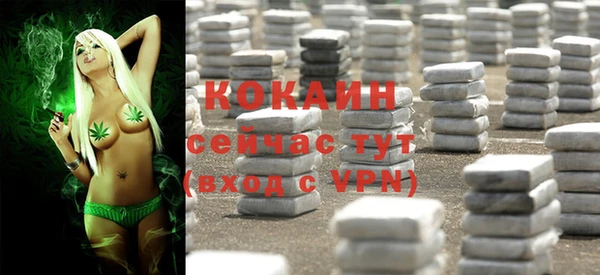 прущие крисы Ельня