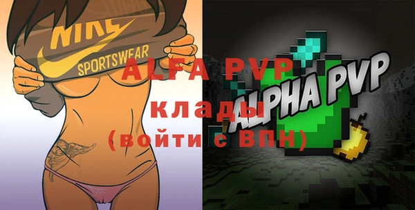 прущие крисы Ельня