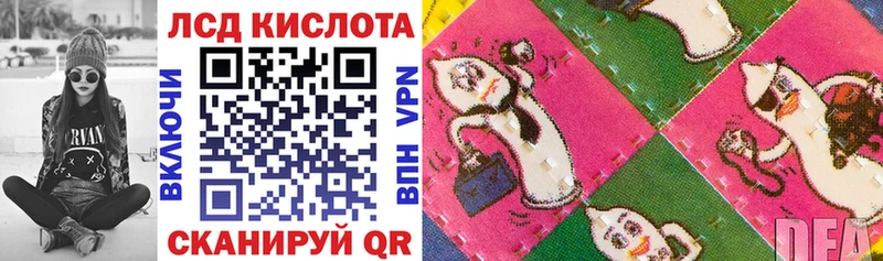 Купить  Сегежа  Марки N-bome 1500мкг 