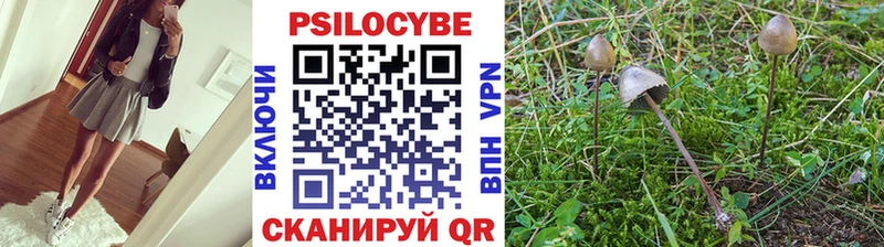 Псилоцибиновые грибы Magic Shrooms  Купить где  Сегежа 